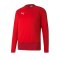 PUMA teamGOAL 23 Training Sweatshirt Rot F01 - rot