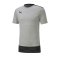 PUMA teamFINAL 21 Casuals Tee T-Shirt Grau F37 - grau
