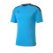 PUMA ftblNXT T-Shirt Blau Schwarz F02 - blau