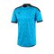 PUMA ftblNXT Graphic Shirt Blau Schwarz F02 - blau
