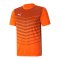 PUMA ftblPLAY Graphic T-Shirt Orange F20 - orange