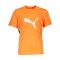 PUMA ftblPLAY Logo T-Shirt Kids Orange F20 - orange