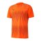 PUMA ftblNXT Graphic Core T-Shirt Orange F02 - orange