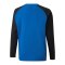 PUMA teamLIGA Sweatshirt Kids Blau F02 - blau