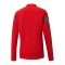 PUMA teamFINAL Training 1/4 Zip Sweatshirt F01 - rot