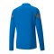 PUMA teamFINAL Training 1/4 Zip Sweatshirt F02 - blau
