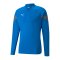 PUMA teamFINAL Training 1/4 Zip Sweatshirt F02 - blau