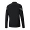 PUMA teamFINAL Training 1/4 Zip Sweatshirt F03 - schwarz