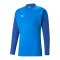 PUMA teamCUP HalfZip Sweatshirt Blau F02 - blau