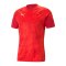 PUMA teamCUP Trainingsshirt Rot F01 - rot