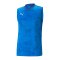 PUMA teamCUP Trainingssweatshirt Blau F02 - blau