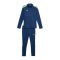 PUMA teamLIGA Trainingsanzug Blau F54 - dunkelblau