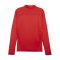 PUMA teamFINAL Training 1/4 Zip Sweatshirt Rot F01 - rot