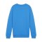 PUMA teamGOAL Casuals Sweatshirt Kids Blau F02 - dunkelblau