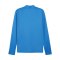 PUMA teamGOAL Training 1/4 Zip Sweatshirt Blau F02 - hellblau