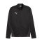 PUMA teamGOAL Training 1/4 Zip Sweatshirt F03 - schwarz