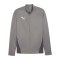 PUMA teamGOAL Training 1/4 Zip Sweatshirt Grau F13 - grau