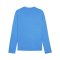 PUMA teamGOAL Training Sweatshirt Blau F02 - hellblau