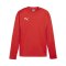 PUMA teamGOAL Training Sweatshirt Rot F01 - rot