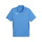 PUMA teamGOAL Poloshirt Blau F02 - hellblau
