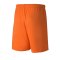 PUMA teamGOAL 23 Knit Short Orange F08 - orange