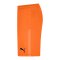 PUMA teamGOAL 23 Knit Short Orange F08 - orange