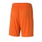 PUMA teamGOAL 23 Knit Short Kids Orange F08 - orange