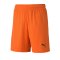 PUMA teamGOAL 23 Knit Short Kids Orange F08 - orange