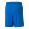 PUMA teamLIGA Shorts Kids Blau F02 - blau