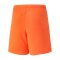 PUMA teamRISE Short Kids Orange Weiss F08 - orange