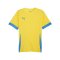 PUMA teamGOAL Matchday Trikot Gelb Blau F17 - gelb