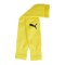 PUMA teamGOAL Sleeves Gelb Schwarz F07 - gelb