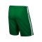 Nike Short ohne Innenslip League Knit F302 Grün - gruen