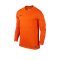 Nike Langarm Trikot Park VI F815 Orange - orange