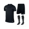 Nike Park VI Trikotset kurzarm F010 Schwarz - schwarz