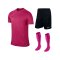 Nike Park VI Trikotset kurzarm F616 Pink - pink