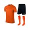 Nike Park VI Trikotset kurzarm F815 Orange - orange