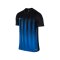 Nike Kurzarm Trikot Striped Division II F011 - schwarz