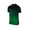Nike Kurzarm Trikot Striped Division II F013 - schwarz