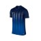 Nike Kurzarm Trikot Striped Division II F410 Blau - blau