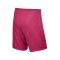 Nike Short mit Innenslip Park II F616 Pink - pink