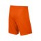 Nike Short mit Innenslip Park II F815 Orange - orange
