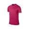 Nike Kurzarm Trikot Park VI Kinder F616 Pink - pink