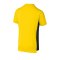 PUMA BVB Dortmund Prematch Shirt Gelb Schwarz F01 - Gelb