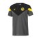 PUMA BVB Dortmund Iconic MCS Tee T-Shirt Grau F02 - grau