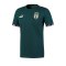 PUMA Italien FtblCulture T-Shirt Grün F03 - gruen
