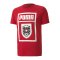PUMA Österreich DNA Tee T-Shirt Rot F01 - rot