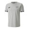 PUMA Schweiz FtblCulture T-Shirt Grau F14 - grau