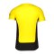 PUMA BVB Dortmund Evostripe T-Shirt Kids Gelb F01 - gelb