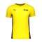 PUMA BVB Dortmund Evostripe T-Shirt Kids Gelb F01 - gelb